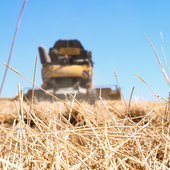 🌱 Une récolte se termine... la suivante commence déjà.

Les moissons 2026 sont derrière nous, mais en agriculture, il n'y a pas vraiment de pause.
C'est maintenant le moment d'observer les parcelles, d'analyser la saison écoulée et de préparer les prochains semis.

Chaque décision prise aujourd'hui contribuera à construire la récolte 2027.

L'agriculture, c'est savoir récolter... mais surtout savoir anticiper. 🌾

#Agriculture #semis2027 #moissons2026 
 #champagnemarin #champagnechmarinetfils

Crédit photo : @franz.pfifferling