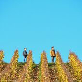 🍾 Bienvenue au Champagne Marin et fils, domaine familial ! 🥂

Le caractère familial de la Maison Marin fait totalement partie de notre identité. Entre les dégustations qui cohabitent avec les compotes et les biscuits du goûter, celles mises en pause le temps d’un aller-retour à l’arrêt du bus, sans compter les préparations en famille de vos commandes, nos petits marins ne sont jamais loin ! 👨‍👩‍👧‍👦🚌

Nous mettons tout notre cœur à donner le sourire à tous nos invités, nos clients de passage et notre entourage. La convivialité en toute simplicité autour d’une bonne coupe de Champagne, c’est ça le Champagne Ch. Marin et fils. ❤️🥂

Crédit @franz.pfifferling  @agencecomdesbulles

#AgricultureInnovante #famille #champagne #champagnechmarinetfils #champagnemarinetfils #champagnemarin #valleedelasarce #aube #famille #artisansdeffervecence #winelover #wine #vigneronsindependants #philosophie #agricultureraisonnee #HVE #winemaker #winegrower