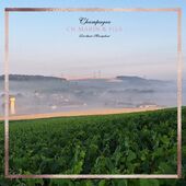 Lever du soleil🌞 coteau Le grand champ🤩
#champagnechmarinetfils 
#champagne 
#cotedesbarenchampagne 
#cotedesbartourisme 
#avireylingey 
#valleedelasarce 
#artisandeffervescence 
#vigneronindependant 
#champagnedevignerons