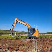 Faire pour demain 🛠️🚜

Le renouvellement de notre vignoble, cela commence par deux étapes indispensables:
• L’arrachage des vieilles vignes qui ont tant donné.
• La préparation minutieuse et respectueuse des sols.
• L'épandage de compost pour nourrir notre terre.
Ce travail de fond, souvent invisible mais essentiel, va permettre à la terre de se reposer tout l'hiver.
L'objectif ? Accueillir dans les meilleures conditions nos nouvelles plantations! 🌱

#champagnemarin #vigneronindependant #artisandeffervescencer
#terroir #travaildelavigne