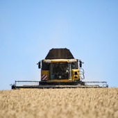 🚜 Chaque année, chez les Marin,  dès la fin juin, la moissonneuse, les tracteurs et les bennes reprennent leur ballet 🩰 dans les champs.
Cette année encore, orges d’hiver, colzas, pois et blé se sont succédés sous une météo caniculaire.

Derrière ces récoltes, il y a toujours un défi : préserver les hommes, le matériel… et transmettre le savoir-faire.

#agriculture #moisson #passionduterroir 

Crédit @franz.pfifferling