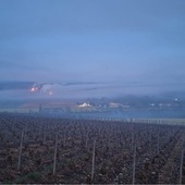 🔥🚜 Mobilisation dans les vignes pour lutter contre le gel.
Cette année, plusieurs moyens ont été déployés pour protéger au mieux les bourgeons encore intacts :
💨 Hélice pour brasser l’air et ramener la chaleur en hauteur vers le sol
🕯️ Bougies pour gagner quelques précieux degrés
🌾 Bottes de paille pour créer un écran de fumée et limiter l’impact du froid et du soleil levant.
Dès que les températures approchent 0°C, les stations météo déclenchent l’alerte.
Alors commence le ballet nocturne : tracteurs, télescopiques… et un capitaine mobilisé, 1 à 2 nuits par semaine.
☕ Et au petit matin : thermos de café et barbecue pour tenir le rythme.
#champagne #geldeprintemps #champagnechmarinetfils