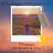 #cotedesbartourisme
#coteaux
#champagnemarin