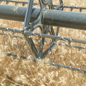 ☀️🚜 Moissons 2026 : courtes... mais intenses !

Cette année, la météo n'a laissé aucun répit.
Les fortes chaleurs ont accéléré la maturité des cultures et concentré la récolte sur une période très courte. Il a fallu s'adapter, avancer au bon moment et rester particulièrement vigilants.
Sous ces températures, la priorité est restée la même : assurer la sécurité de l'équipe, préserver le matériel et récolter dans les meilleures conditions possibles.

Les dernières bennes sont rentrées : mission accomplie ! 🌾✅

#moissons2026 #champagnemarin #champagnechmarinetfils #récolte #canicule
#Agriculture 

Crédit photo : @franz.pfifferling
