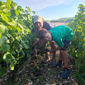 ✨ Pourquoi ces vendanges sont-elles encore plus importantes pour nous cette année ?
Parce que notre réserve individuelle a été précieuse pour nos mises en bouteille 2025… et qu’il est temps de la reconstituer !
Dans quelques jours, c’est reparti pour une nouvelle campagne, avec passion et précision.
On vous partagera tout, ou presque… en mode vendanges ! 🍇🚜

➡️ Ne manquez pas l’actualité au Domaine, on vous partage tout notre quotidien !

#reserveindividuelle #vendanges2025 #champagnechmarinetfils #champagneMarin