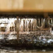 🍾 En cave
Les fermentations progressent… Eric suit les jus pas à pas, à leur propre rythme.
Chaque geste compte, pour révéler toute la richesse aromatique.
Une nouvelle étape débute, porteuse de belles promesses pour nos futurs Champagnes ✨

#Vendanges2025 #Winemaking #Winetime #champagne #champagnchmarinetfils #champagnemarin

Crédit @franz.pfifferling