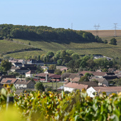 🍁 L’automne nous offre ses plus belles couleurs…
Les vignes se transforment en une mosaïque dorée, chaque cépage offrant sa propre nuance, sa propre lumière. 🌿
Et si vous veniez en profiter ? 👉 Venez admirer cette palette éphémère…
Et pour les plus gourmands 🍇, les verjus gorgés de sucre vous attendent — tout comme nous ! 🤗

credit@franz.pffiferling

#Champagnechmarinetfils #champagnemarin #valleedelasarce #cotedesbartourisme