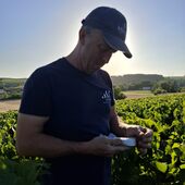 Une vendange hors norme 🍇☀️
13 août 2026.
Une date que nous ne sommes pas prêts d’oublier !
Les vendanges 2026 ont débuté exceptionnellement tôt sur notre exploitation. Face à une maturité qui a évolué très rapidement, il a fallu anticiper, s’organiser et être prêts au bon moment.
Une vendange précoce qui nous pousse à penser autrement notre manière de travailler.
Le millésime 2026 commence ici… dans les vignes. 🍇
#vendanges2026 #champagnechmarinetfils #valleedelasarce #champagnemarin